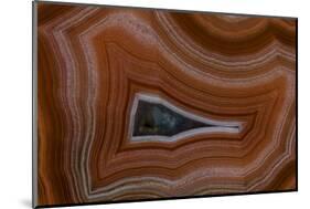 Banded Agate, Sammamish, Washington State-Darrell Gulin-Mounted Photographic Print