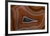 Banded Agate, Sammamish, Washington State-Darrell Gulin-Framed Photographic Print