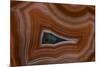 Banded Agate, Sammamish, Washington State-Darrell Gulin-Mounted Photographic Print