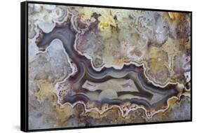 Banded Agate, Sammamish, Washington State-Darrell Gulin-Framed Stretched Canvas