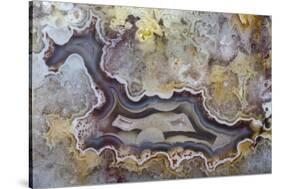 Banded Agate, Sammamish, Washington State-Darrell Gulin-Stretched Canvas