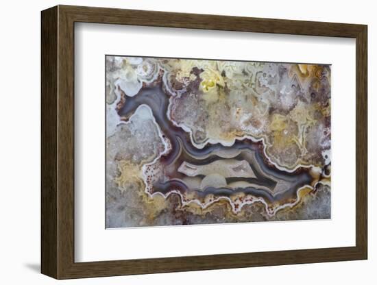 Banded Agate, Sammamish, Washington State-Darrell Gulin-Framed Photographic Print