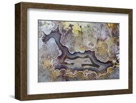 Banded Agate, Sammamish, Washington State-Darrell Gulin-Framed Photographic Print