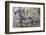 Banded Agate, Sammamish, Washington State-Darrell Gulin-Framed Photographic Print