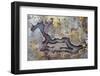 Banded Agate, Sammamish, Washington State-Darrell Gulin-Framed Photographic Print