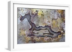 Banded Agate, Sammamish, Washington State-Darrell Gulin-Framed Photographic Print