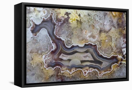 Banded Agate, Sammamish, Washington State-Darrell Gulin-Framed Stretched Canvas