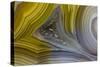 Banded Agate, Sammamish, Washington State-Darrell Gulin-Stretched Canvas