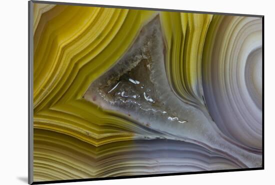 Banded Agate, Sammamish, Washington State-Darrell Gulin-Mounted Photographic Print