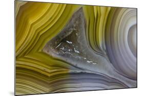 Banded Agate, Sammamish, Washington State-Darrell Gulin-Mounted Photographic Print