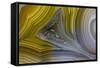 Banded Agate, Sammamish, Washington State-Darrell Gulin-Framed Stretched Canvas