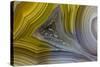 Banded Agate, Sammamish, Washington State-Darrell Gulin-Stretched Canvas