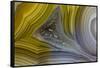 Banded Agate, Sammamish, Washington State-Darrell Gulin-Framed Stretched Canvas