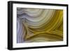 Banded Agate, Sammamish, Washington State-Darrell Gulin-Framed Photographic Print