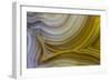 Banded Agate, Sammamish, Washington State-Darrell Gulin-Framed Photographic Print