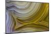 Banded Agate, Sammamish, Washington State-Darrell Gulin-Mounted Photographic Print