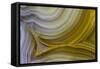 Banded Agate, Sammamish, Washington State-Darrell Gulin-Framed Stretched Canvas