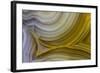 Banded Agate, Sammamish, Washington State-Darrell Gulin-Framed Photographic Print