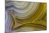 Banded Agate, Sammamish, Washington State-Darrell Gulin-Mounted Photographic Print