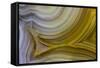 Banded Agate, Sammamish, Washington State-Darrell Gulin-Framed Stretched Canvas