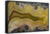 Banded Agate, Sammamish, Washington State-Darrell Gulin-Framed Stretched Canvas