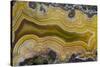 Banded Agate, Sammamish, Washington State-Darrell Gulin-Stretched Canvas