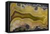 Banded Agate, Sammamish, Washington State-Darrell Gulin-Framed Stretched Canvas