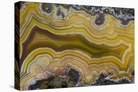 Banded Agate, Sammamish, Washington State-Darrell Gulin-Stretched Canvas