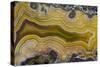 Banded Agate, Sammamish, Washington State-Darrell Gulin-Stretched Canvas