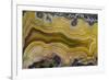 Banded Agate, Sammamish, Washington State-Darrell Gulin-Framed Photographic Print