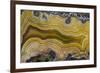 Banded Agate, Sammamish, Washington State-Darrell Gulin-Framed Photographic Print