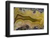 Banded Agate, Sammamish, Washington State-Darrell Gulin-Framed Photographic Print