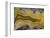 Banded Agate, Sammamish, Washington State-Darrell Gulin-Framed Photographic Print