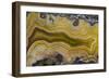 Banded Agate, Sammamish, Washington State-Darrell Gulin-Framed Photographic Print