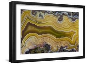 Banded Agate, Sammamish, Washington State-Darrell Gulin-Framed Photographic Print