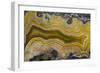 Banded Agate, Sammamish, Washington State-Darrell Gulin-Framed Photographic Print