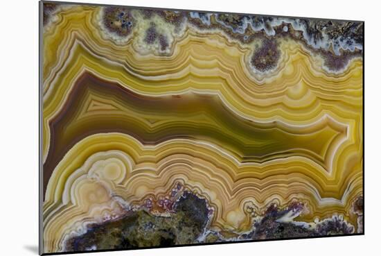 Banded Agate, Sammamish, Washington State-Darrell Gulin-Mounted Photographic Print