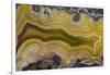 Banded Agate, Sammamish, Washington State-Darrell Gulin-Framed Photographic Print