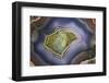 Banded Agate, Sammamish, Washington-Darrell Gulin-Framed Premium Photographic Print