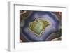 Banded Agate, Sammamish, Washington-Darrell Gulin-Framed Premium Photographic Print