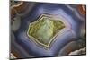 Banded Agate, Sammamish, Washington-Darrell Gulin-Mounted Premium Photographic Print