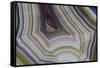 Banded Agate, Sammamish, Washington-Darrell Gulin-Framed Stretched Canvas