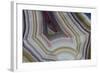 Banded Agate, Sammamish, Washington-Darrell Gulin-Framed Photographic Print