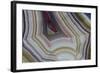 Banded Agate, Sammamish, Washington-Darrell Gulin-Framed Photographic Print