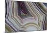 Banded Agate, Sammamish, Washington-Darrell Gulin-Mounted Photographic Print