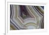 Banded Agate, Sammamish, Washington-Darrell Gulin-Framed Photographic Print