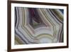 Banded Agate, Sammamish, Washington-Darrell Gulin-Framed Photographic Print