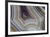 Banded Agate, Sammamish, Washington-Darrell Gulin-Framed Photographic Print