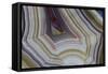 Banded Agate, Sammamish, Washington-Darrell Gulin-Framed Stretched Canvas