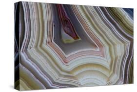 Banded Agate, Sammamish, Washington-Darrell Gulin-Stretched Canvas